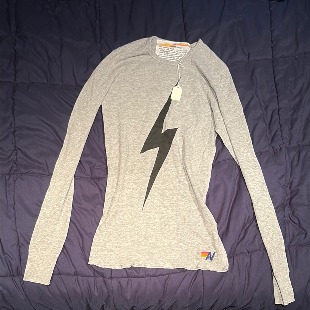 Aviator Nation Gray Fitted Long Sleeve Graphic Tee